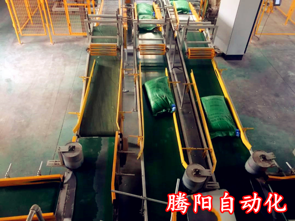 騰陽(yáng)全自動(dòng)碼垛機(jī)器人為何受到如此關(guān)注