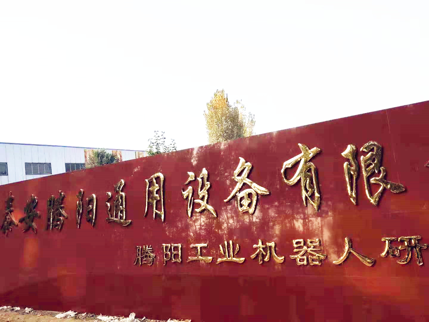 騰陽碼垛機(jī)