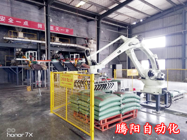 騰陽碼垛機(jī)器人