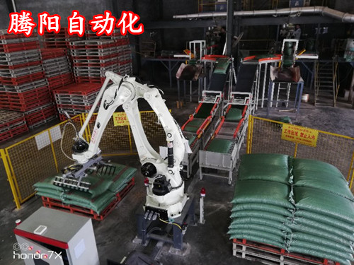 騰陽(yáng)為企業(yè)量身定制碼垛機(jī)器人系統(tǒng)