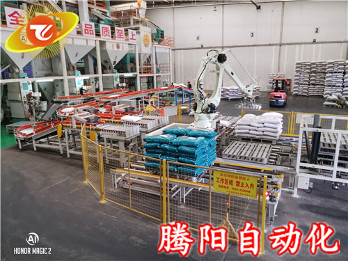 廠家直銷(xiāo)碼垛機(jī)器人/碼垛機(jī)械手/袋裝