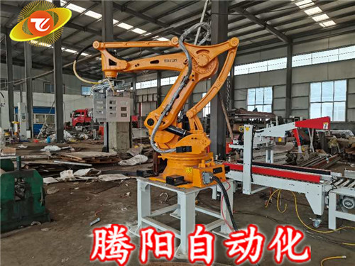 讓全自動(dòng)碼垛機(jī)盡可能更好地為碼垛工業(yè)服務(wù)