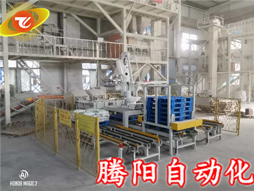 四軸搬運(yùn)工業(yè)碼垛機(jī)器人