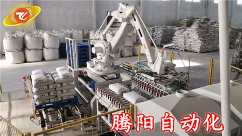 碼垛機(jī)器人