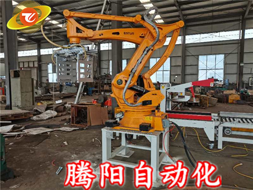 碼垛機(jī)器人的包裝類型及廣泛應(yīng)用