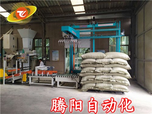 坐標(biāo)碼垛機(jī)主要應(yīng)用在哪些地方