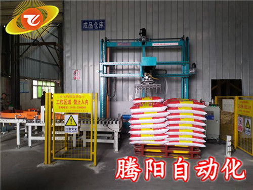 坐標(biāo)機(jī)器人碼垛機(jī)