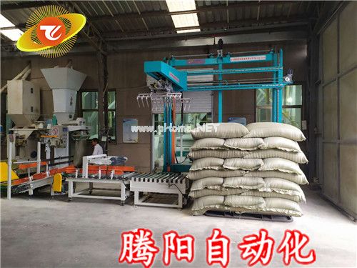 坐標(biāo)碼垛機(jī)